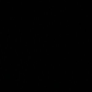 Meet your Posher, Kimmy